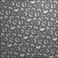 3D Embossing Folder Leopard (EF3D081) (DISCONTINUED) - #587716