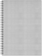 Artgecko Flashy Spiraal Schetsboek A3 Portret 150 gr 40 vel Zilveren Omslag - #597685