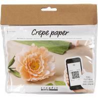 Creativ Company - CC Creatieve Mini Hobbyset Crêpepapier Bloemen Pioenroos - #590339