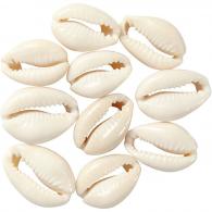 Creativ Company - CC Schelpen Kralen 20 mm Naturel 12 stuks - #591212