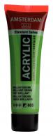 Royal Talens - Talens Amsterdam acrylverf 20 ml 605 - Briljantgroen - #598137
