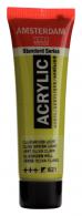 Royal Talens - Talens Amsterdam acrylverf 20 ml 621 - Olijfgroen Licht - #597462