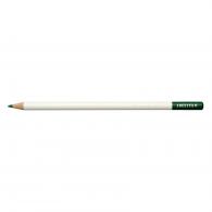 Tombow Irojiten Kleurpotlood -  Forest Green - #593835