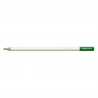 Tombow Irojiten Kleurpotlood -  Parrot Green - #593823