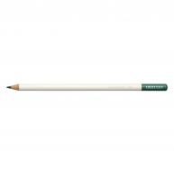 Tombow Irojiten Kleurpotlood -  Scouring Rush - #593891