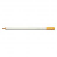 Tombow Irojiten Kleurpotlood -  Yolk Yellow - #593890